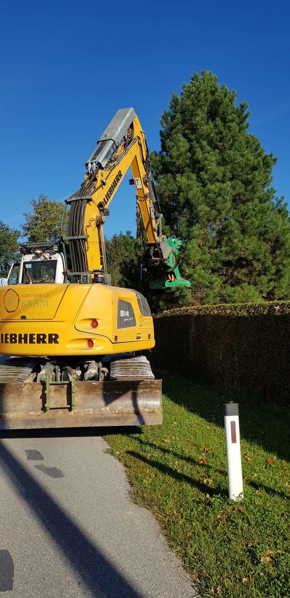 Liebherr-Bagger von Forstservice Kram