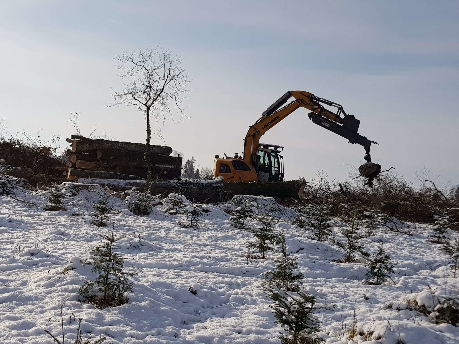 Forstarbeiten im Winter