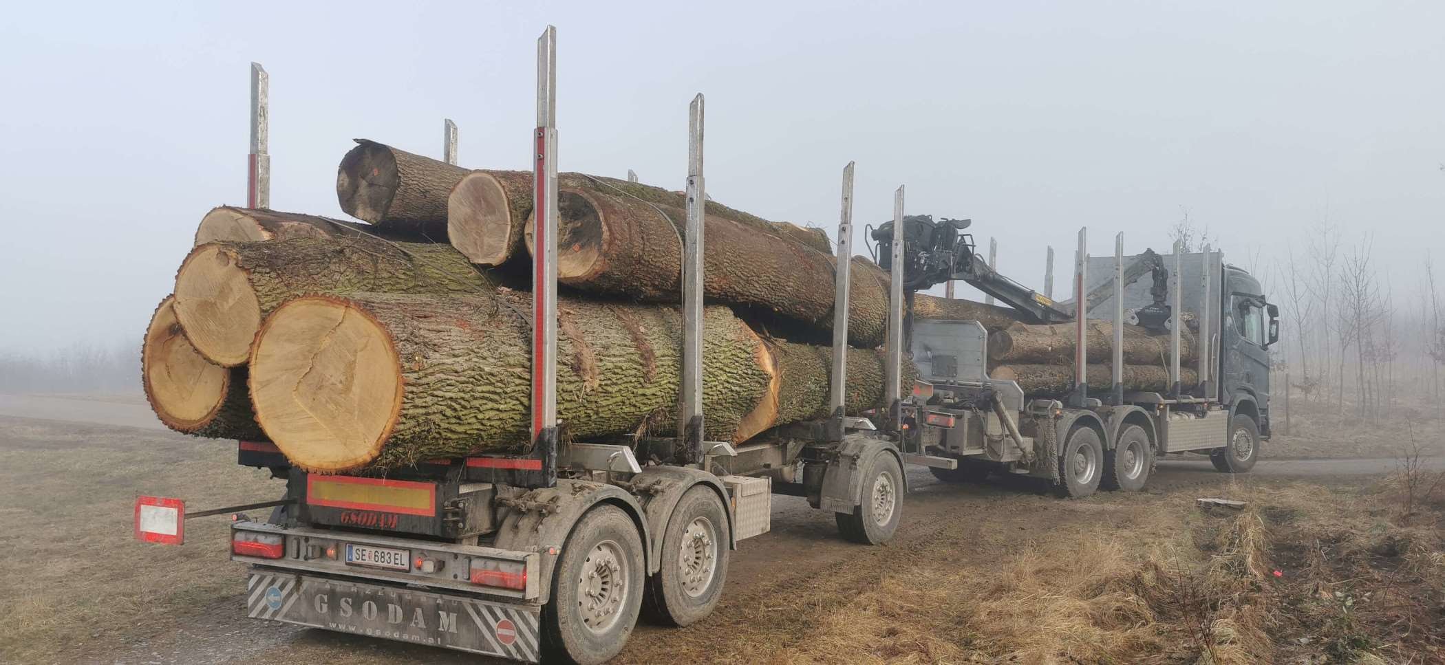 Holztransport von Forstservice Kram