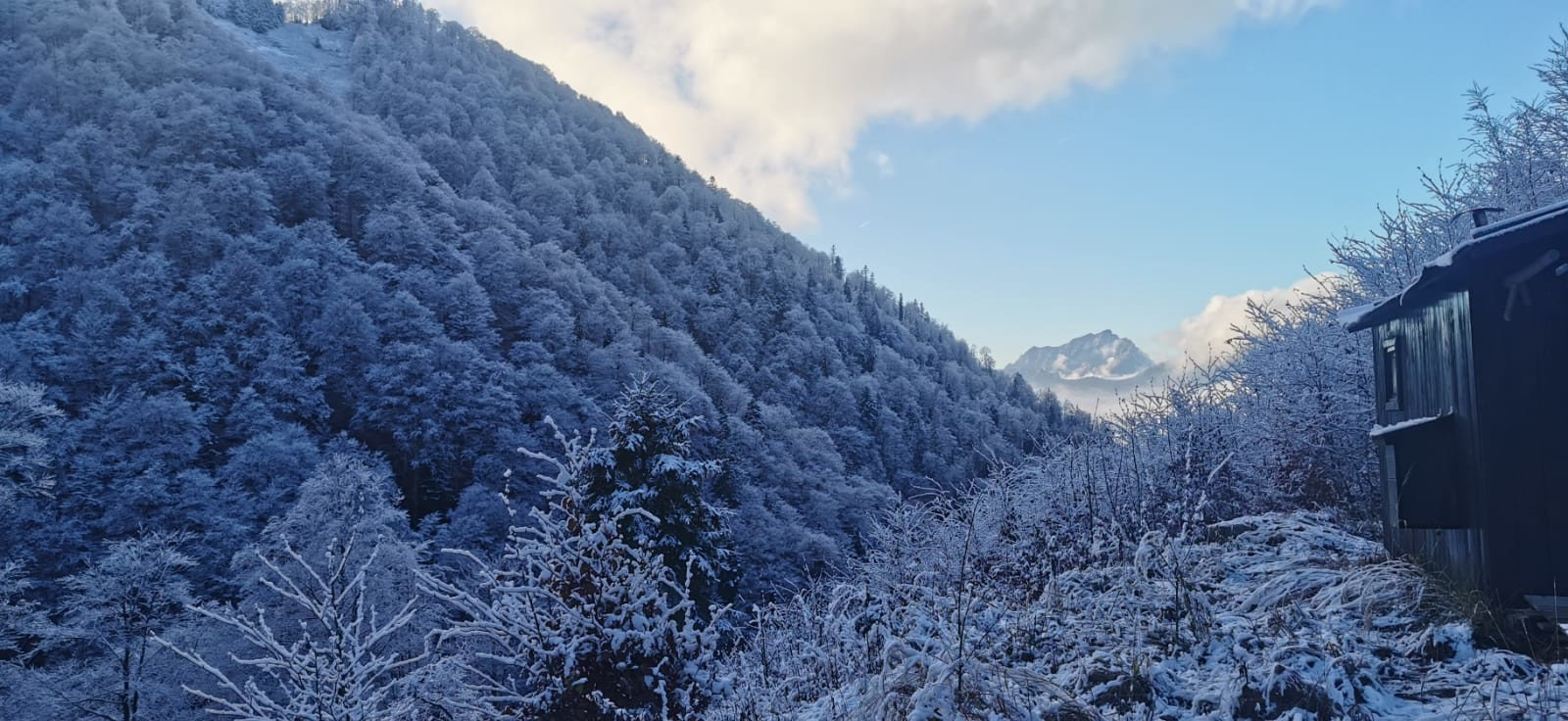 Forstarbeiten im verschneiten Wald